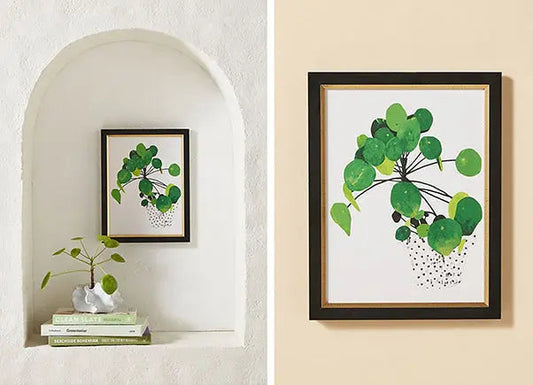ANTHROPOLOGIE
