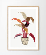 Load image into Gallery viewer, &#39;Aspidistra Elatior&#39; Art Print

