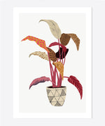 Load image into Gallery viewer, &#39;Aspidistra Elatior&#39; Art Print
