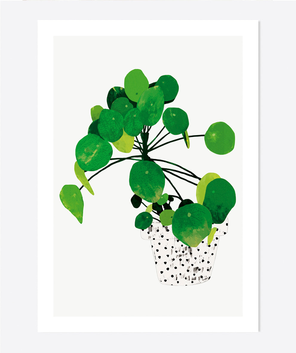 'Pilea Peperomioides' Art Print
