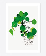 Load image into Gallery viewer, &#39;Pilea Peperomioides&#39; Art Print
