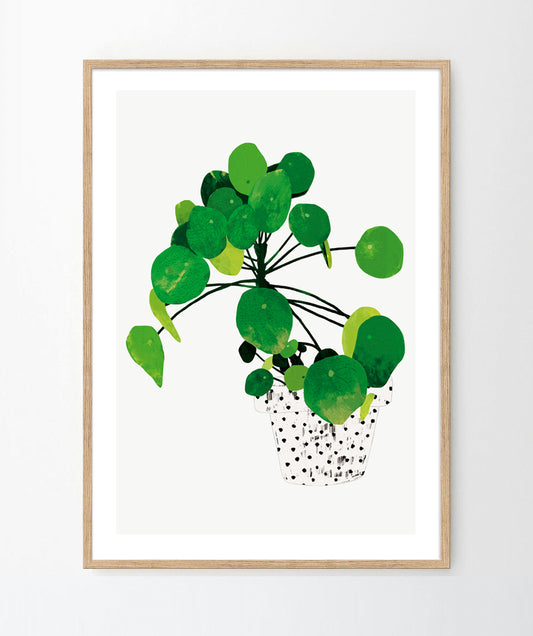 'Pilea Peperomioides' Art Print