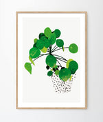 Load image into Gallery viewer, &#39;Pilea Peperomioides&#39; Art Print
