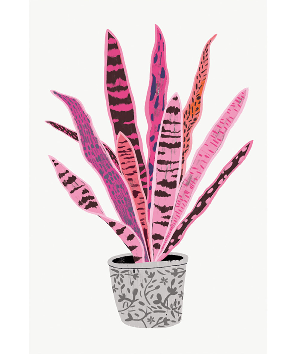 'Sanseveria' Art Print